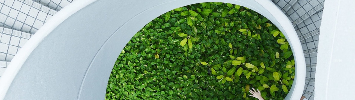 Sustainable Development Goals in deutschen Unternehmen: ProBono-Projekt