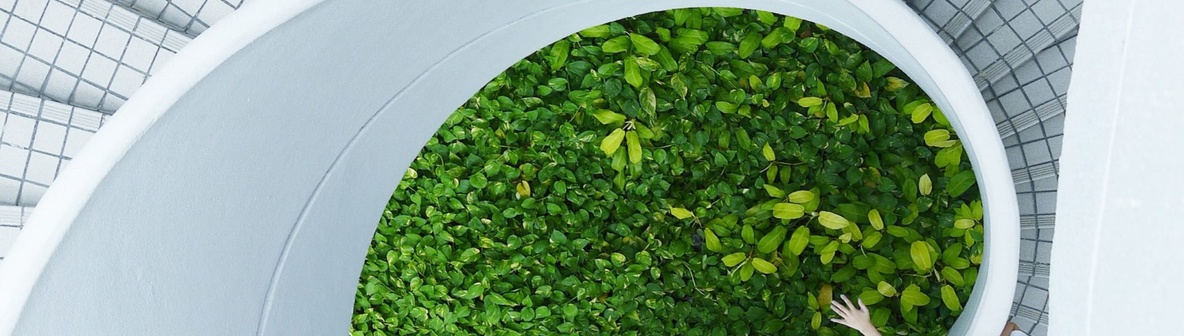 Sustainable Development Goals in deutschen Unternehmen: ProBono-Projekt